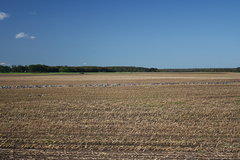 Killikus&reg; Fotographie