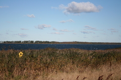 Killikus&reg; Fotographie