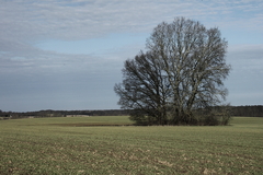 Killikus&reg; Fotographie