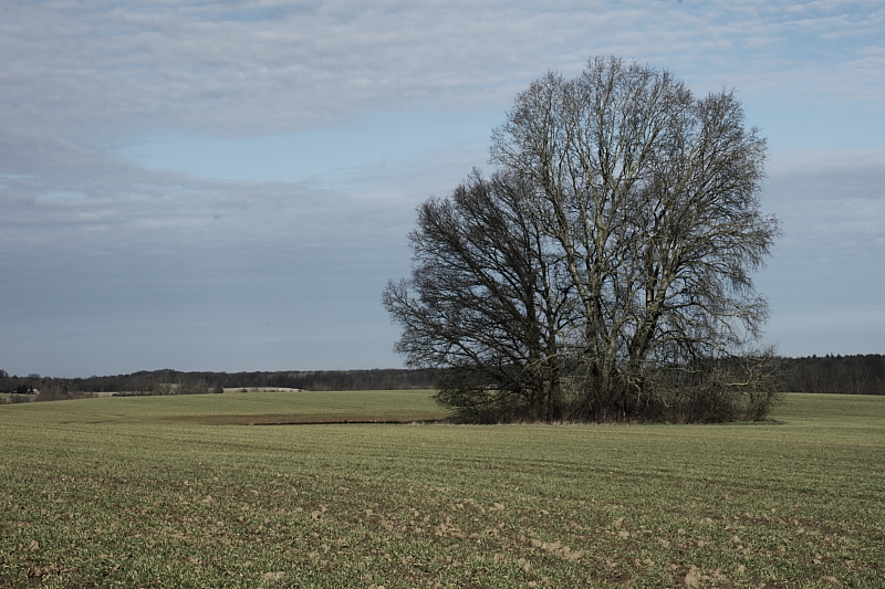 Killikus&reg; Fotographie