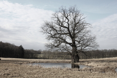 Killikus&reg; Fotographie