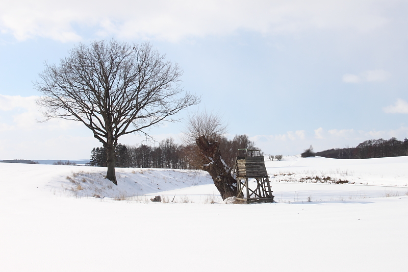 Killikus&reg; Fotographie