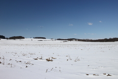 Killikus&reg; Fotographie