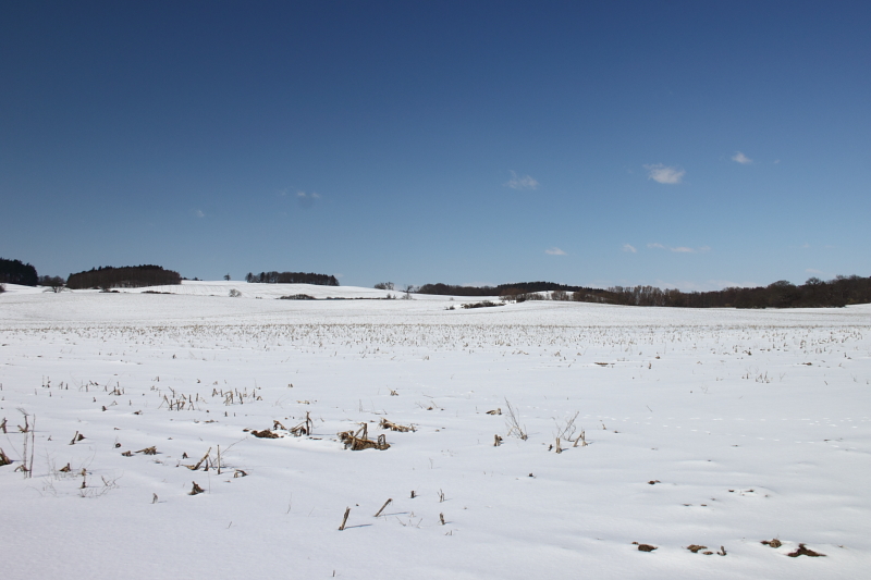 Killikus® Fotographie Killikus® Fotographie