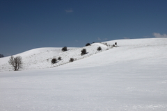 Killikus&reg; Fotographie