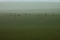 Killikus&reg; Fotographie