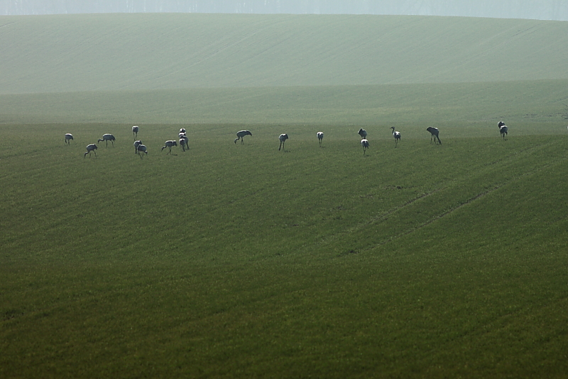 Killikus® Fotographie Killikus® Fotographie