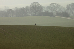 Killikus&reg; Fotographie