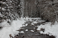 Killikus&reg; Fotographie