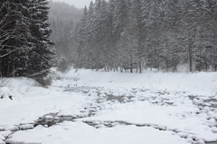 Killikus&reg; Fotographie