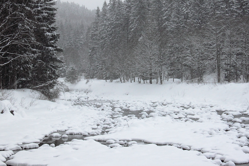 Killikus&reg; Fotographie