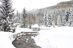 Killikus&reg; Fotographie