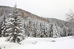 Killikus&reg; Fotographie