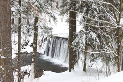 Killikus&reg; Fotographie