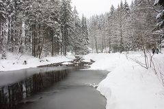 Killikus&reg; Fotographie