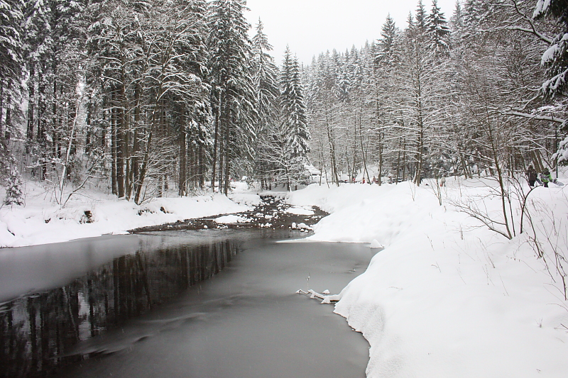 Killikus&reg; Fotographie