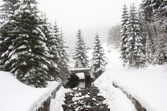 Killikus&reg; Fotographie