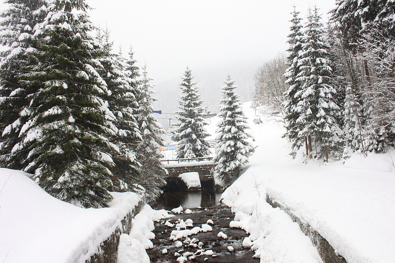 Killikus® Fotographie Killikus® Fotographie