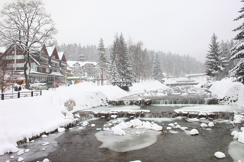 Killikus® Fotographie Killikus® Fotographie