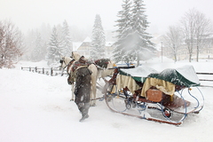 Killikus&reg; Fotographie