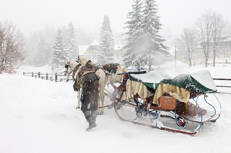 Killikus&reg; Fotographie