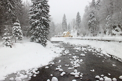 Killikus&reg; Fotographie