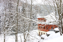 Killikus&reg; Fotographie