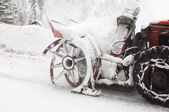 Killikus&reg; Fotographie