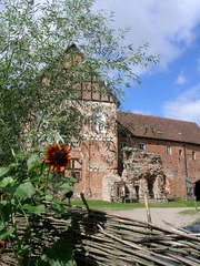 Killikus&reg; Fotographie