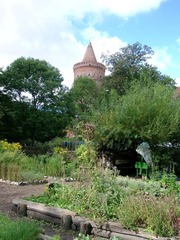 Killikus&reg; Fotographie