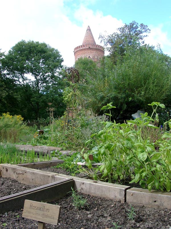 Killikus&reg; Fotographie