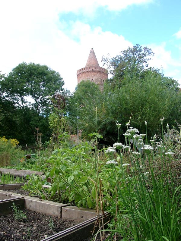 Killikus&reg; Fotographie