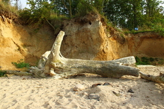 Killikus&reg; Fotographie