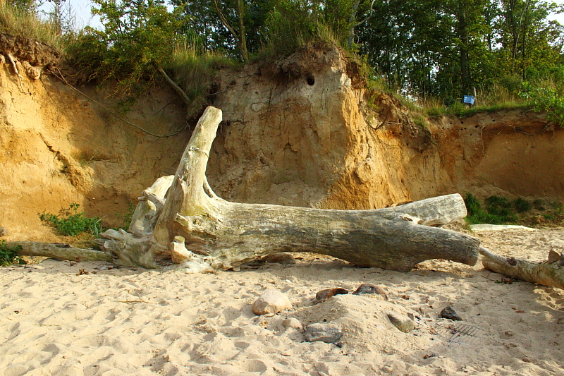 Killikus&reg; Fotographie