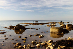 Killikus&reg; Fotographie