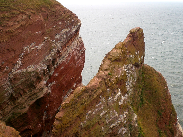 Killikus&reg; Fotographie