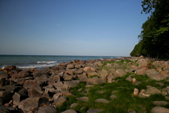 Killikus&reg; Fotographie