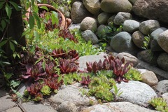 Killikus&reg; Fotographie