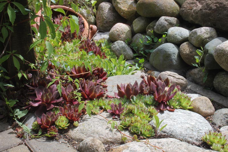 Killikus® Fotographie Killikus® Fotographie