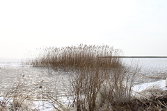 Killikus&reg; Fotographie