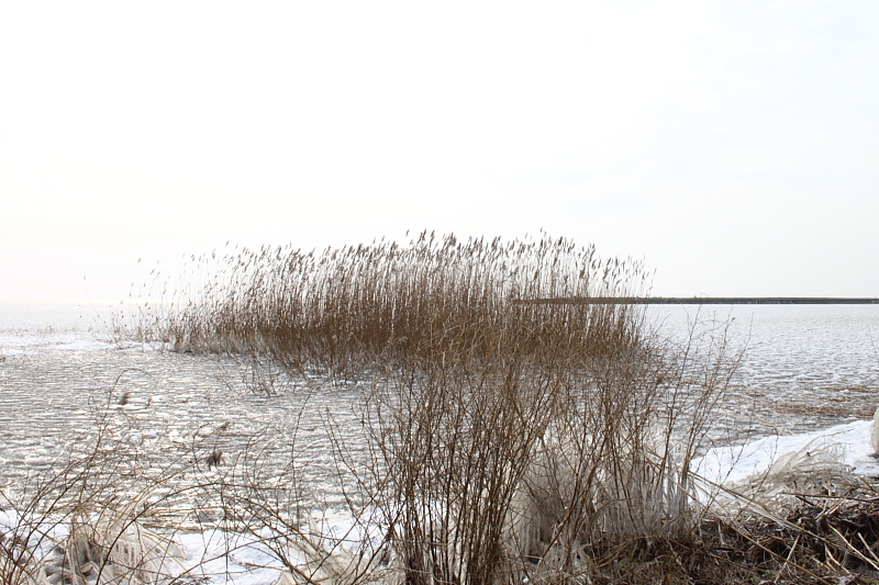 Killikus&reg; Fotographie