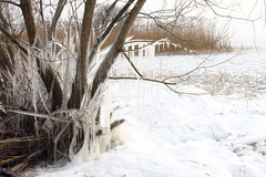 Killikus&reg; Fotographie