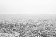 Killikus&reg; Fotographie