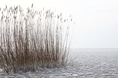 Killikus&reg; Fotographie