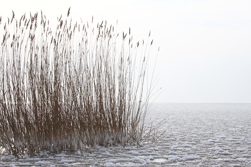 Killikus&reg; Fotographie