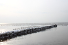 Killikus&reg; Fotographie