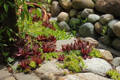 Killikus&reg; Fotographie