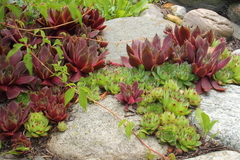 Killikus&reg; Fotographie