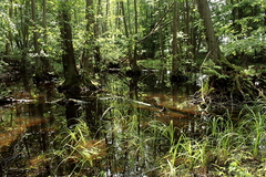 Killikus&reg; Fotographie