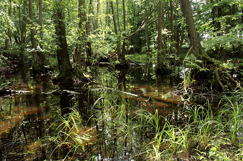 Killikus® Fotographie Killikus® Fotographie